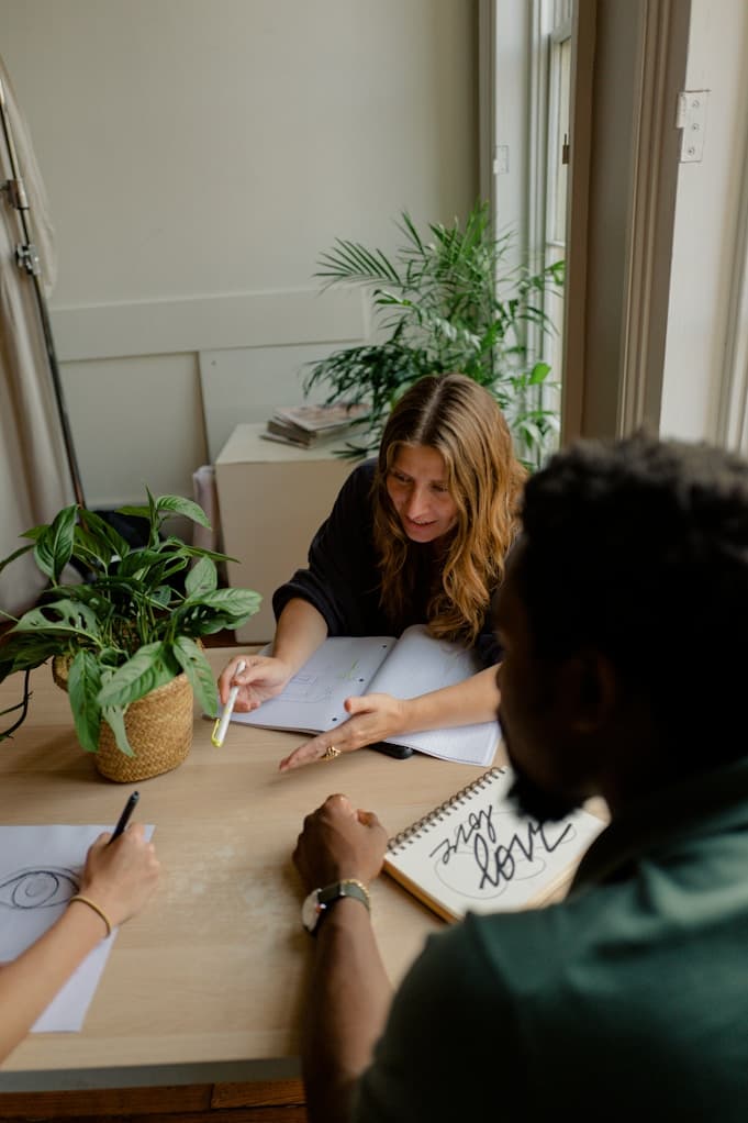 2017 - The Beginning